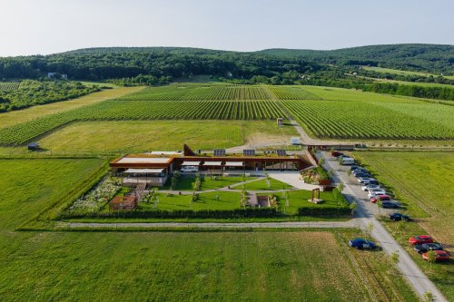 DJI 20250606181827 0131 D